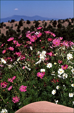 Santa Fe, New Mexico